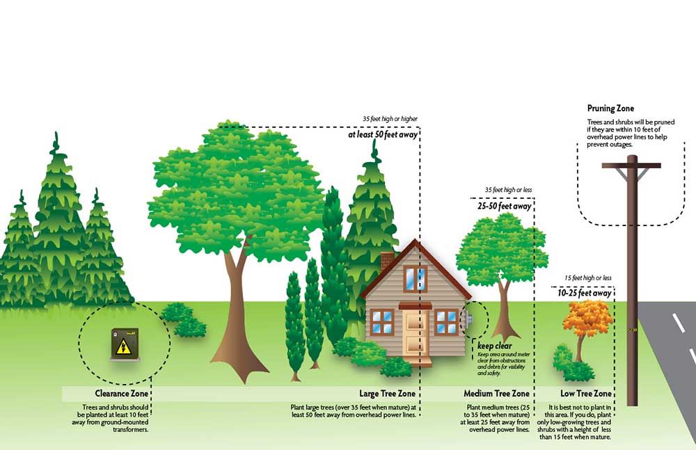 Trees around a house showing different clearance zone requirements