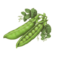 peas